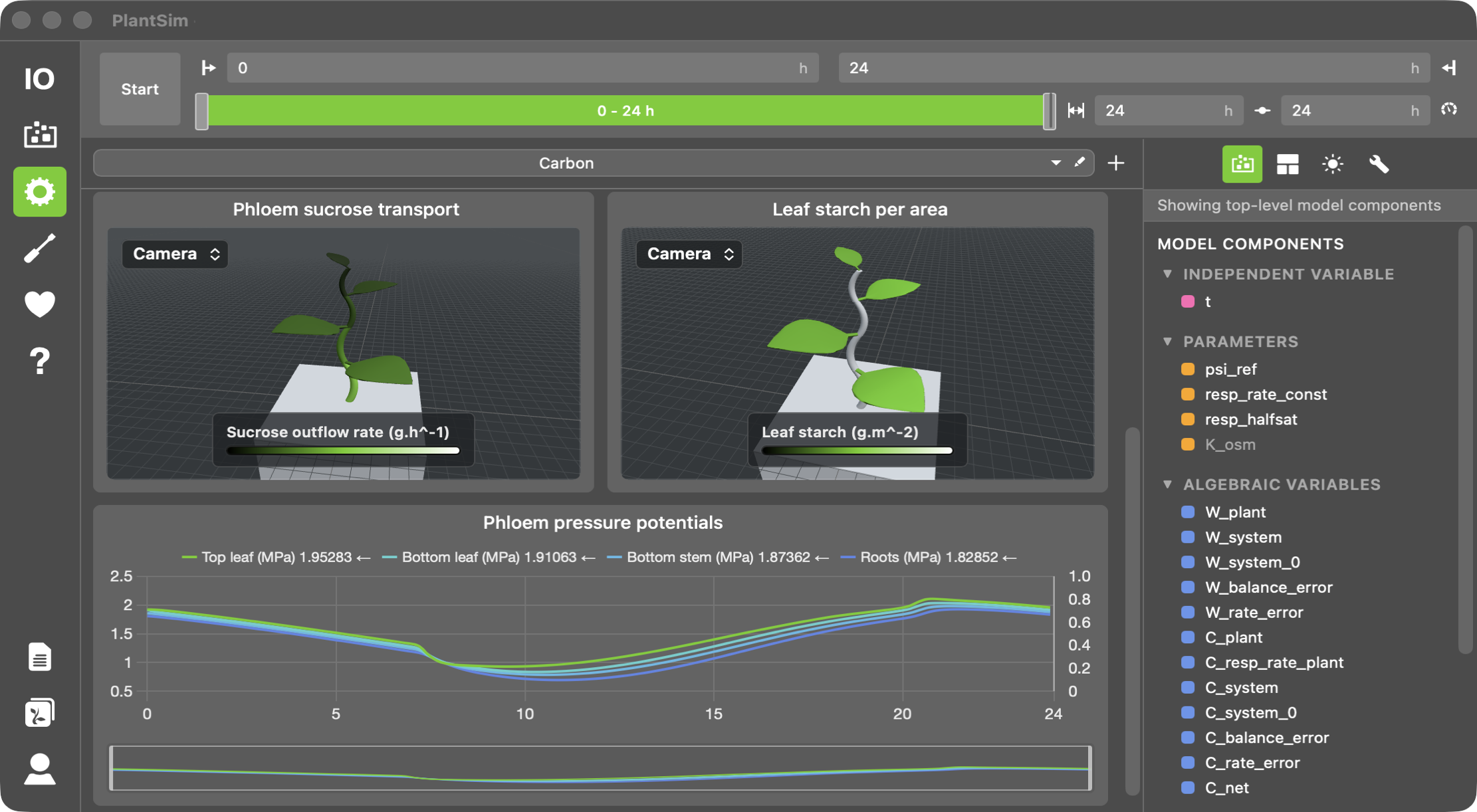Simulation (functional-structural) — Functional-Structural Plant Modelling simulation